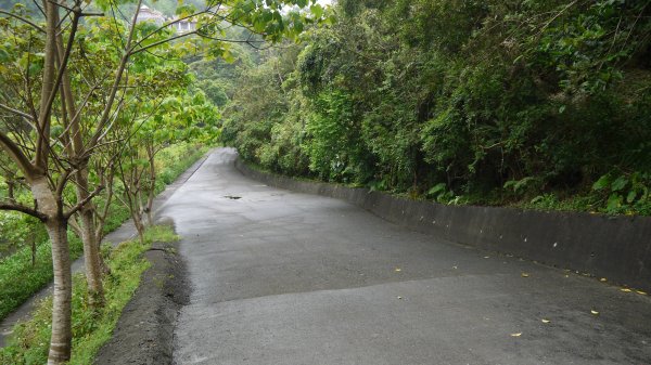 腦寮坑古步道連走拱照步道登山健行趣(步道)1666974