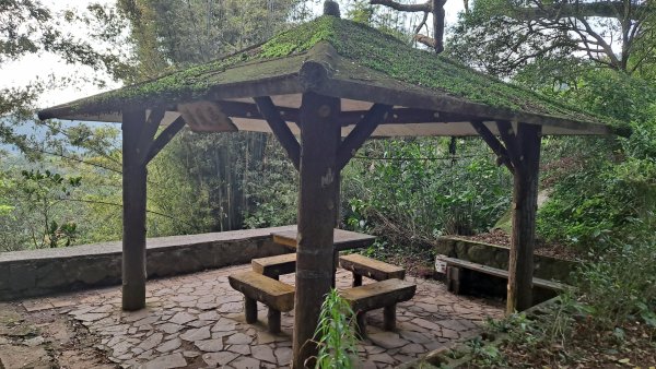 20240305坪頂古圳-登峰圳-內雙溪古道-瑪礁古道-大崎頭步道O繞2447236