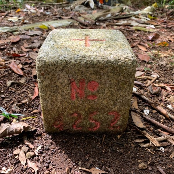 20250215屏東北湖呂山2715889