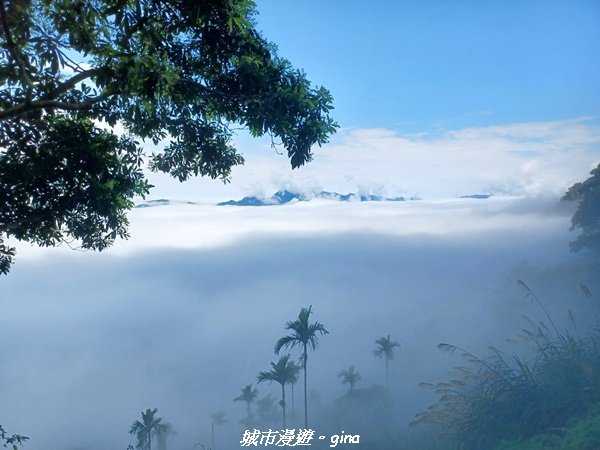 【台南。 楠西】滿滿的雲海太驚豔。 小百岳集起來。 編號67小百岳~竹子尖山步道1605926