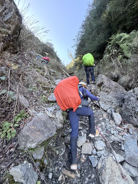 230林道糜爛去    2025.2.28-3.12733773