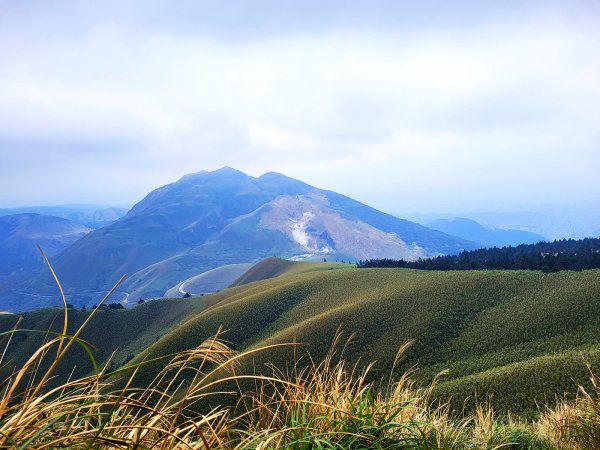 【台北抺茶山】小觀音山走春2010714