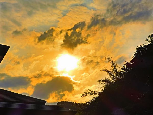 金山法鼓山園區步道100449