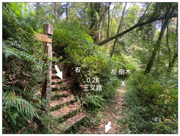 魚池尖山 (魚池富山) 中入右出2828931