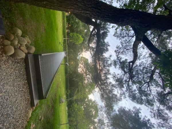 霄裡好風光2833545