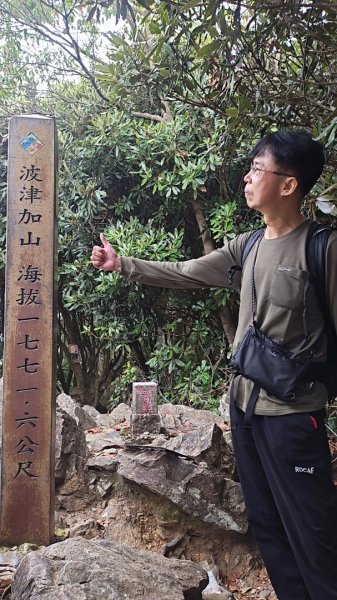 波津加3098441