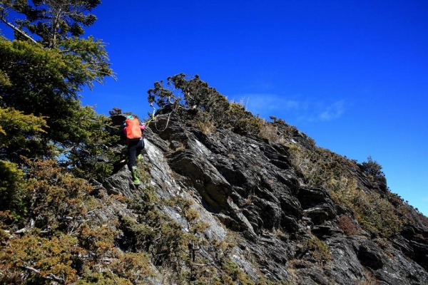 卓社大山 18連峰16237
