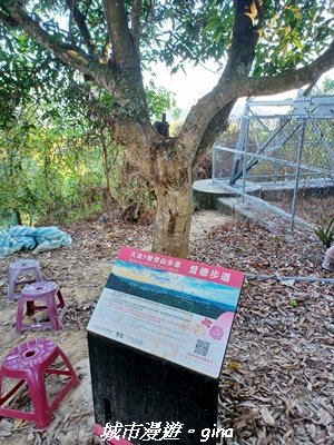 【台中北屯】大坑9-1x9號步道小O繞2945951