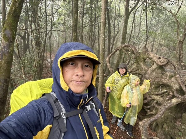 20250101內鳥嘴山北得拉曼步道2681577