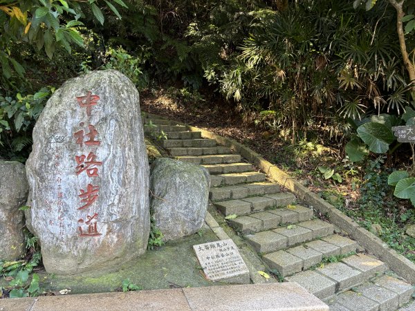 大崙頭山、大崙尾山2922651