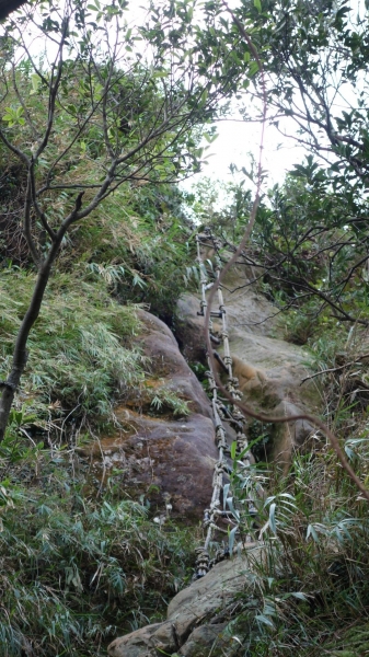 繩梯絕壁，險攀石筍尖北稜斷崖81306