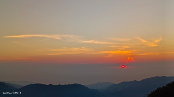 雲山水花鳥蝶 - 天龍國阿伯的日常7/18 & 21、22、292553976