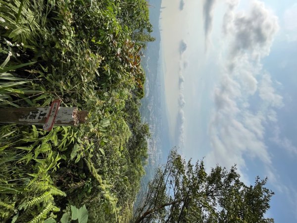 20230428_土庫岳山（台北小百岳）2762328