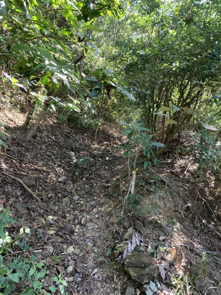 20250301屏東戶亞宇山主峰-基點峰2732981