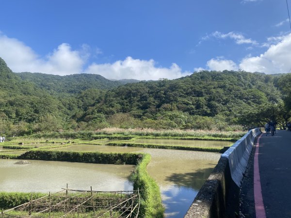 1111112新北市草嶺古道2673025