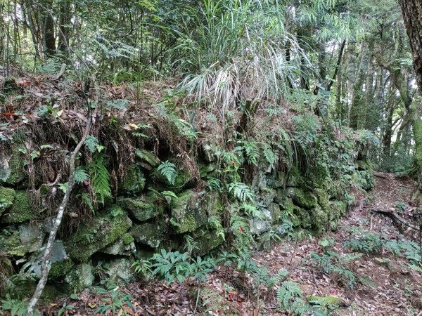 屯野生台山、石麻達山、錦屏山縱走1708370