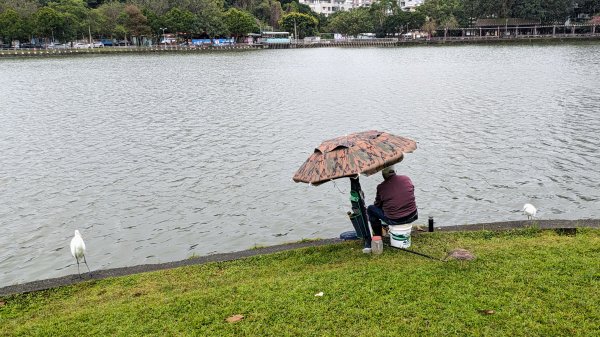 碧湖與大湖公園2385843