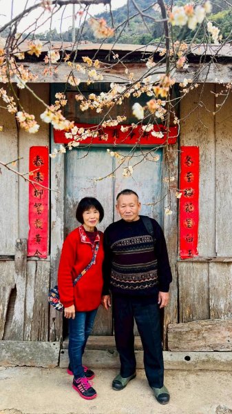 🌈1/17（六）蔡家古厝賞梅×梅子夢工廠×車埕老街✨FB：熊熊趴爬走🌈2983937