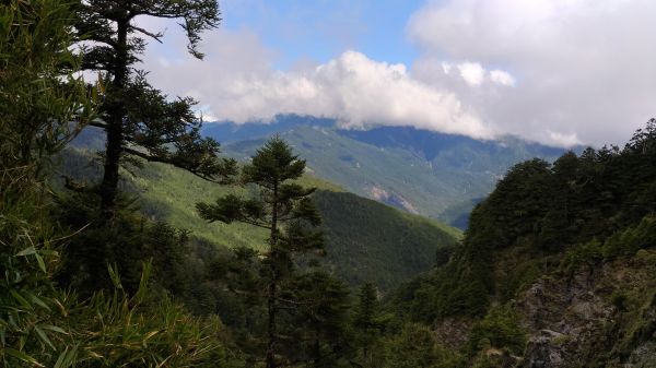 美麗山谷~~小奇萊山!185103