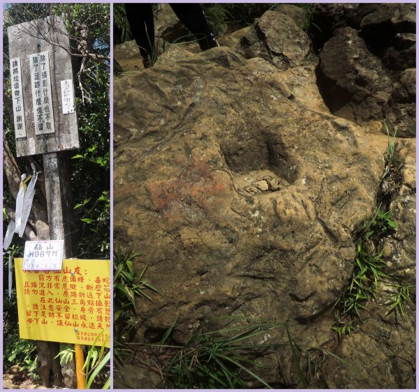 獅潭仙山步道444237