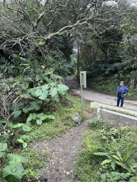 紅淡山步道&槓子寮山 / 小百岳No4&7/基隆2045283