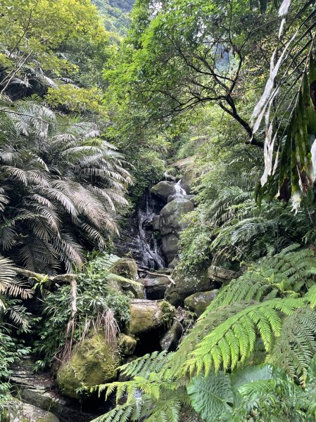 【二格山系】銀河洞越嶺2852570