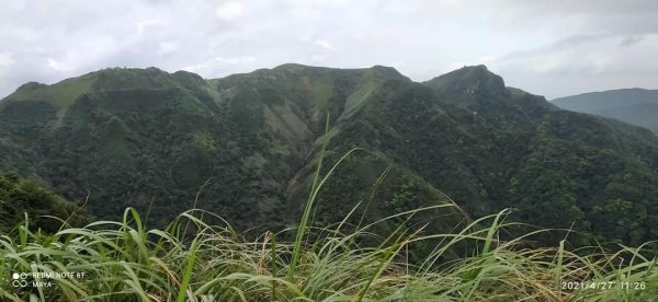 灣坑頭山-吾居吾墅山路上，山徑原始、有溪流潺潺、穿撥箭林出、蠻好玩1365301