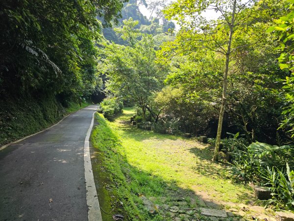 六寮古道-2025森遊竹縣皮皮獅探險隊2889081