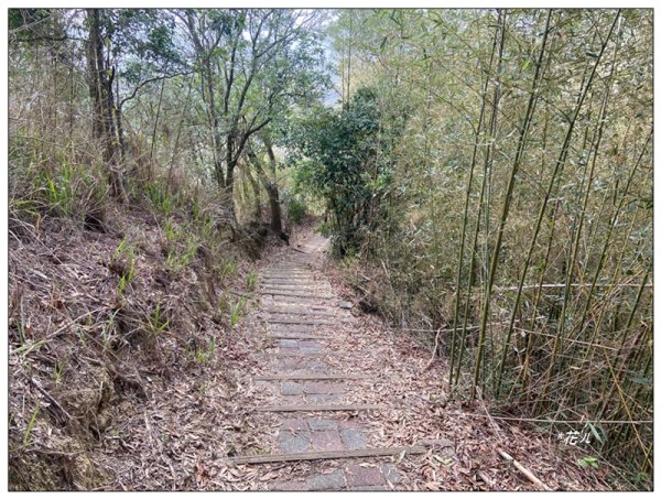 火炎山、龍峎頂步道 O型路線2783760