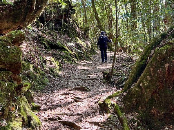 船型山環走大雪山210林道2978044