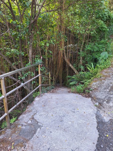 冬山梅花湖中山步道+大陂丘山202509292901656