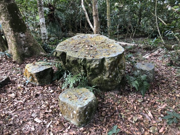 關仔嶺大凍山步道走曾文水庫O型1611847