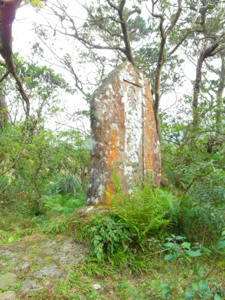 陽明山東西大縱走之半縱走79934