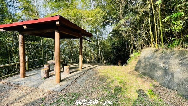 【嘉義。番路】悠悠靜靜。 小百岳集起來。 編號61小百岳~大湖尖山1580390