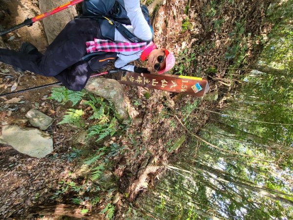 谷關七雄八仙山、加保台山1890618