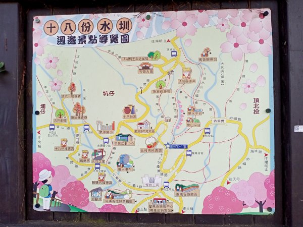 陽春三月暢遊風尾步道→十八份水圳步道→陽峰古道→陽明公園→湖山綠地→橫嶺古道→半嶺步道→猴洞→天母2047569