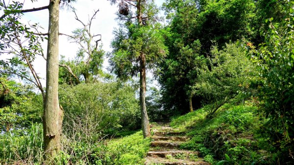 南勢坑小尖,大尖2816038