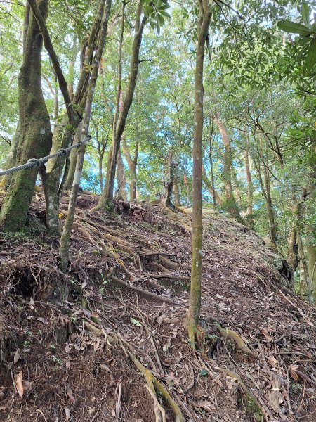 仙山古道群峰O型2693647