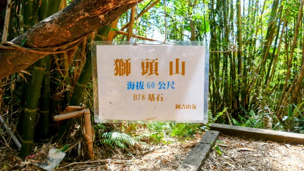 《蝶戀花。酸藤一生》2723351