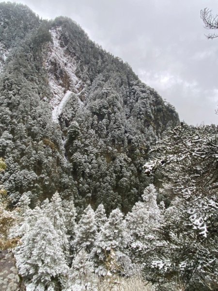 塔塔加-排雲山莊。驚喜滿分的糖霜雪景1565795