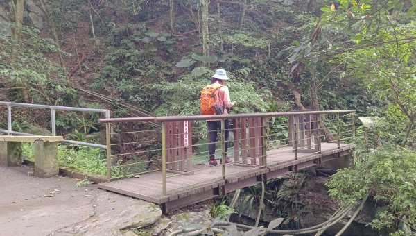 (姨婆趴趴走)第三十二集:礁溪跑馬古道，鵲子山環狀縱走2362264