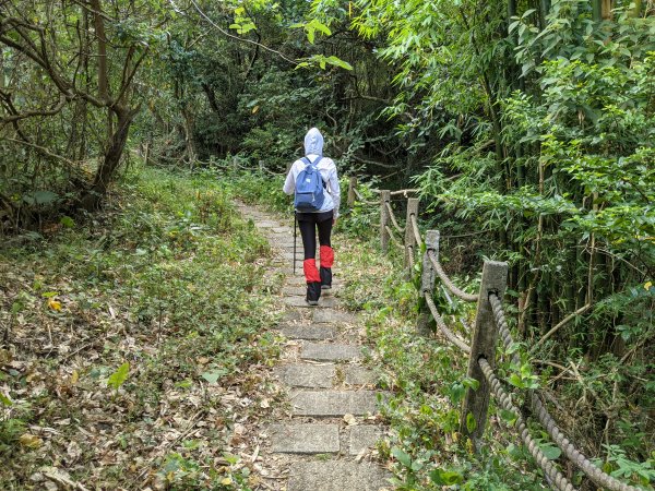 20210516屏東獅子女仍山/女乃山1390812