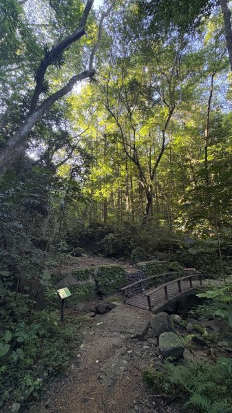 美濃雙溪樹木園（九芎林山2905616