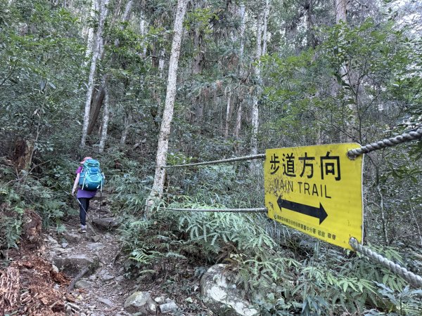 馬崙山 202509062889328