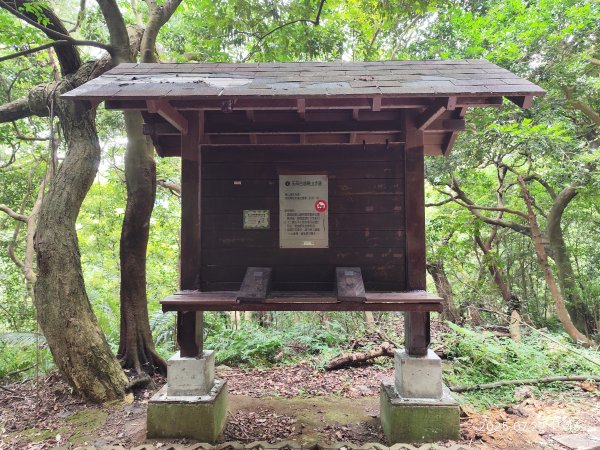 天母古道、西門町、艋舺青山宮、剝皮寮、龍山寺2844588