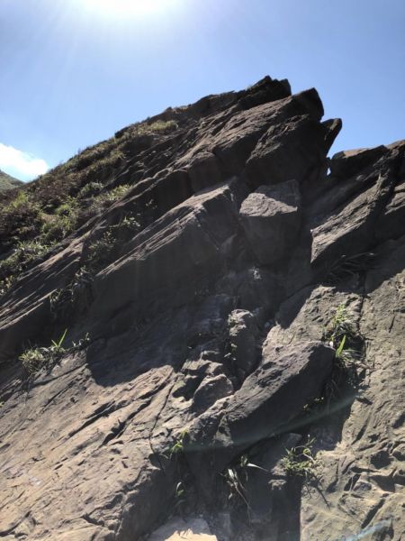 1070311 黃金五稜-劍龍嶺285367