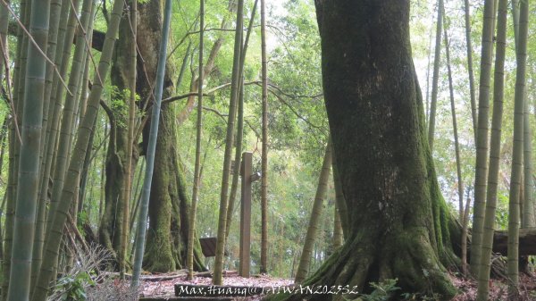 《雲林》望好望角｜石壁山嘉南雲峰步道(中側登山口）202506072805495