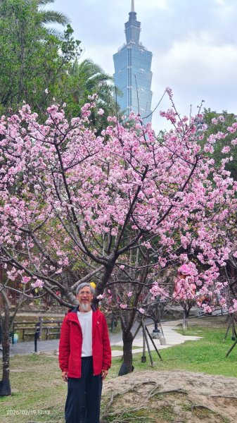 #虎山  #101大樓  #國父紀念館 #河津櫻 #中正紀念堂 2/193002691