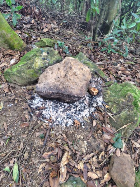 鳳鳴古道 鳳鳴山 南隘勇（南長城）古道 三湖山 八達嶺（龍骨）古道 綠色古道 延平古道2975316