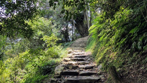 福山部落,內洞森遊區2552419